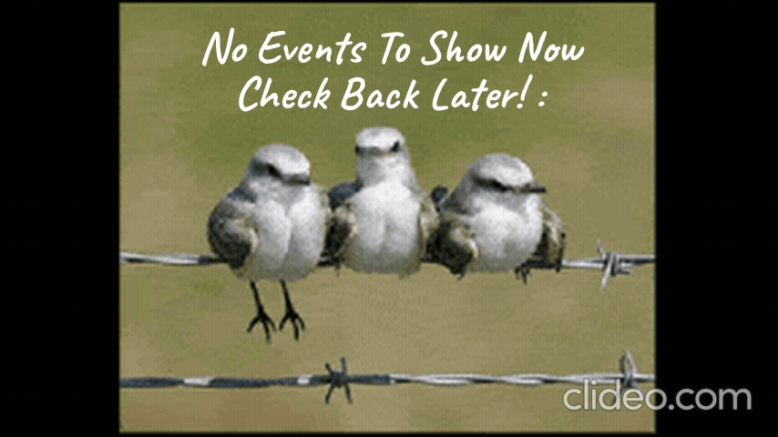 No events found
